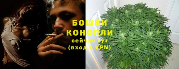 гашик Бронницы